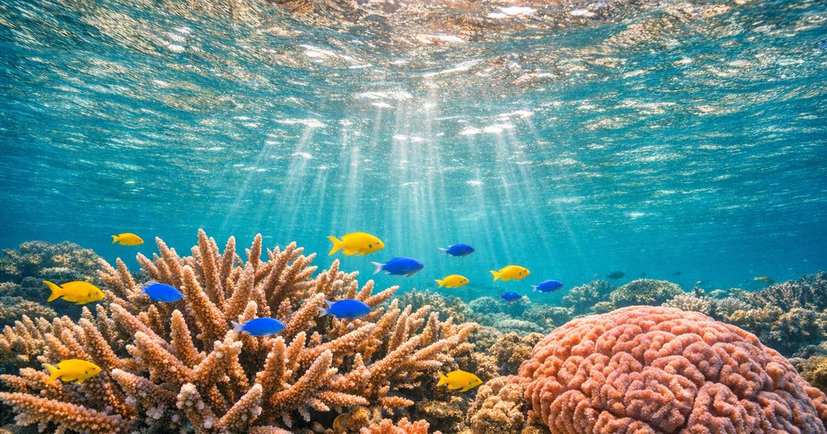 What Is Managing Biodiversity? A Visual Guide for IGCSE Environmental Management Students