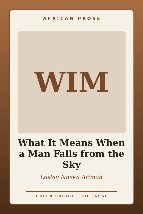 What It Means When a Man Falls from the Sky